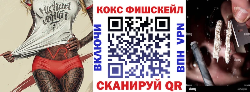 где найти   shop Telegram  Cocaine Fish Scale  Дигора 