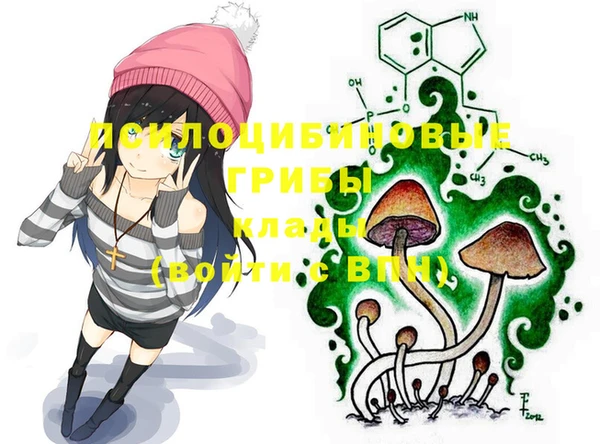 кокаин Вяземский