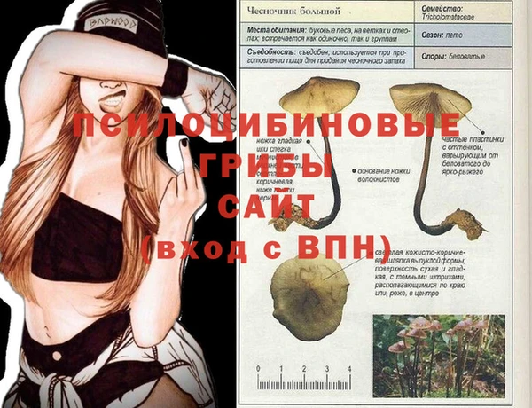 кокаин Вяземский