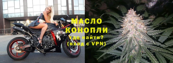 сатива Горняк