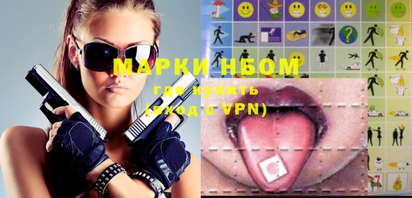 сатива Горняк