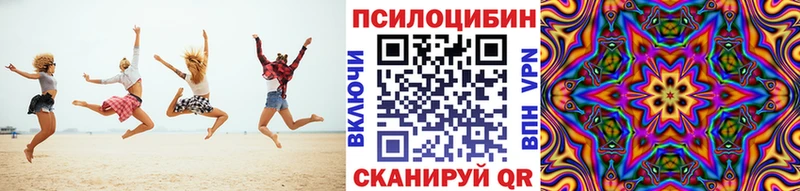 продажа наркотиков  Дигора  МЕГА tor  Псилоцибиновые грибы прущие грибы 