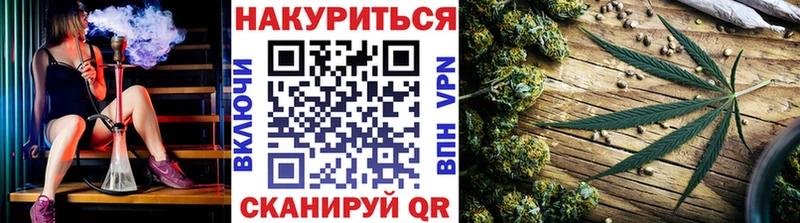 Бошки Шишки планчик  Дигора 